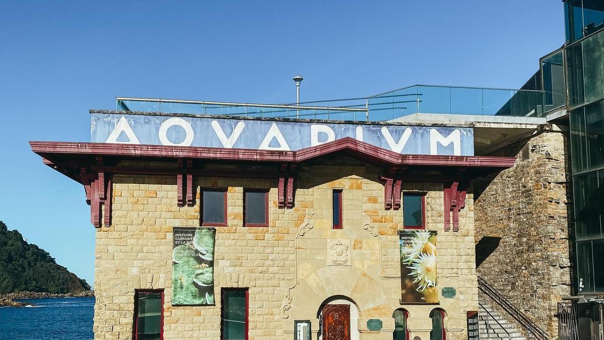 En imagen, el Aquarium de Donostia