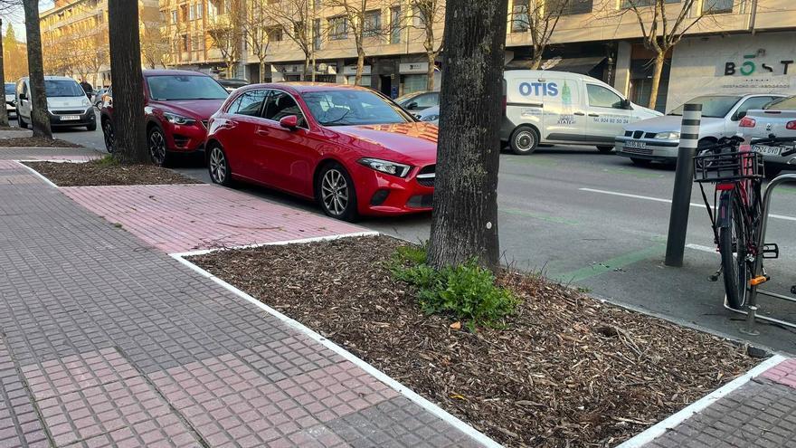 Vitoria-Gasteiz refuerza el cuidado del arbolado urbano con un nuevo contrato de mantenimiento de alcorques