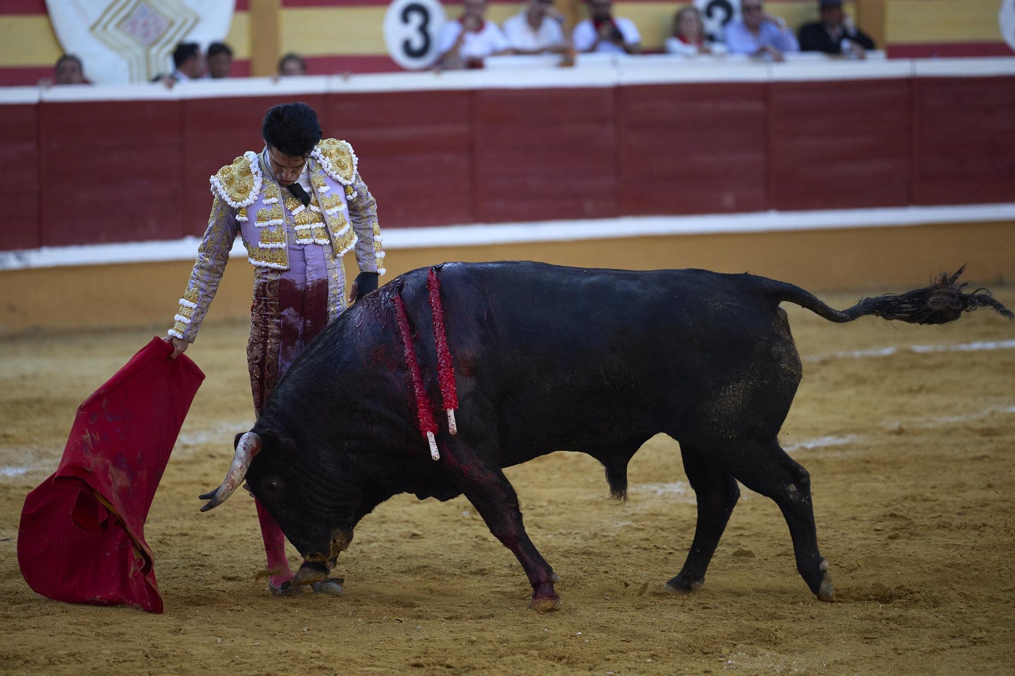 Fotos de la corrida de toros en Tudela con toros de Garzón Valdenebro