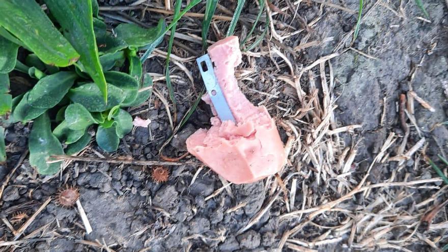 Localizan salchichas con cuchillas en la Vuelta del Castillo de Pamplona para causar heridas a perros