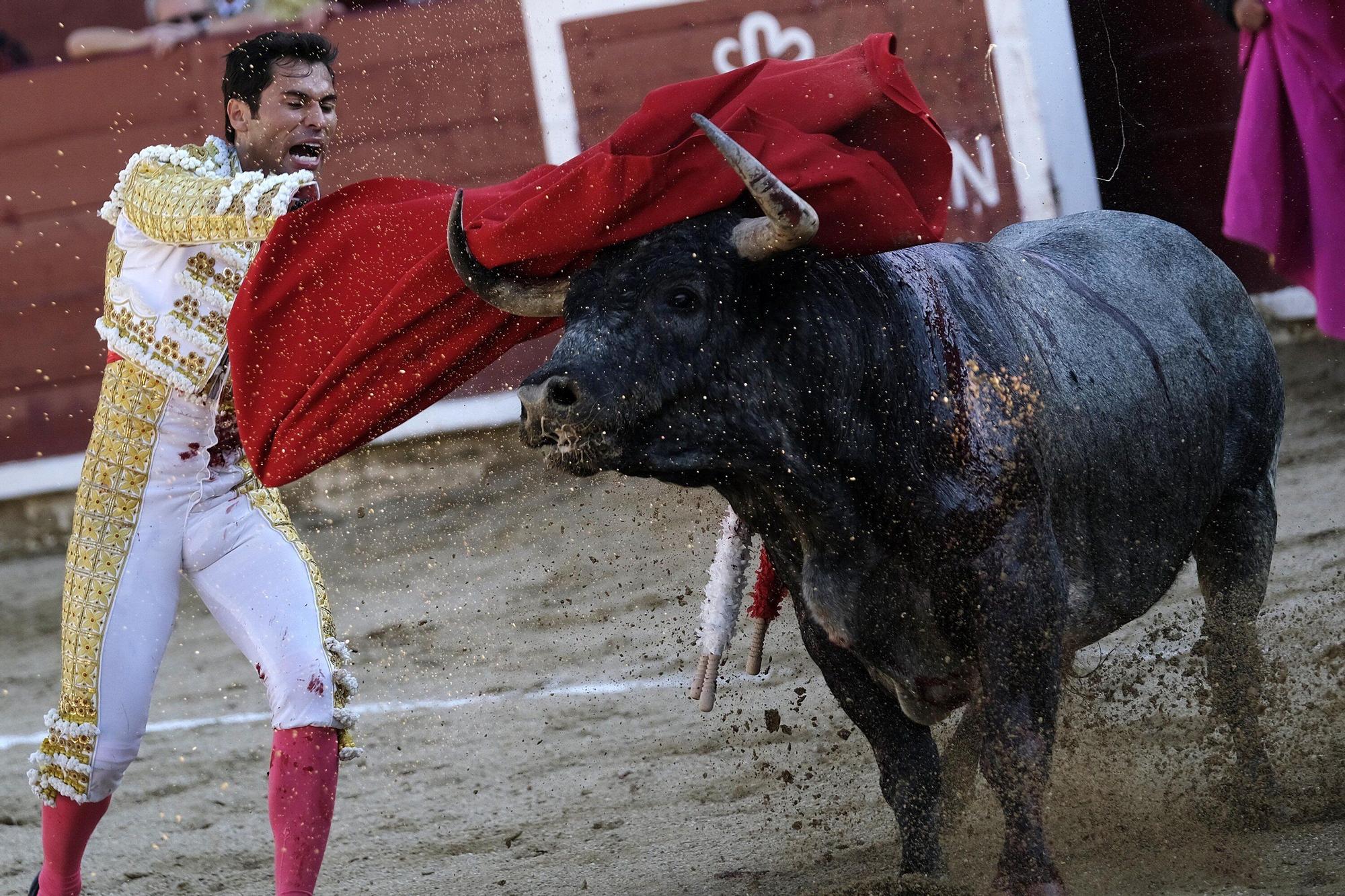 Fotos de la corrida con toros de Partido de Resina en fiestas de Estella-Lizarra