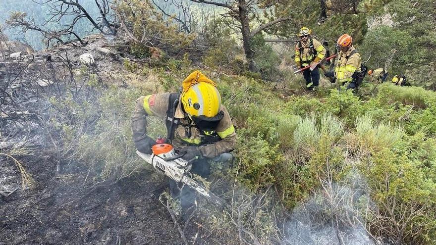 Muere un temporero mientras trabajaba en una finca de Alcarràs durante la ola de calor