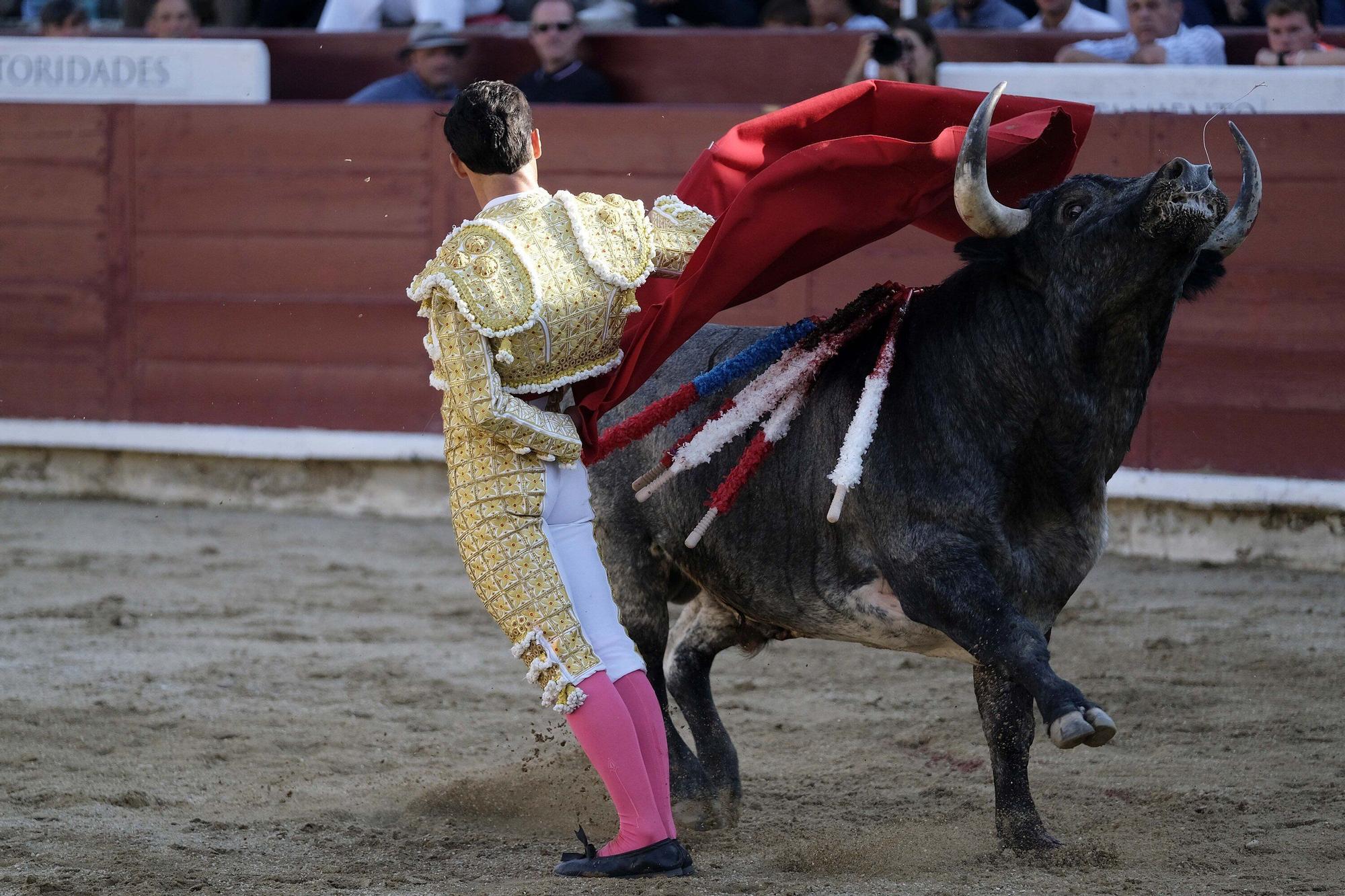 Fotos de la corrida con toros de Partido de Resina en fiestas de Estella-Lizarra