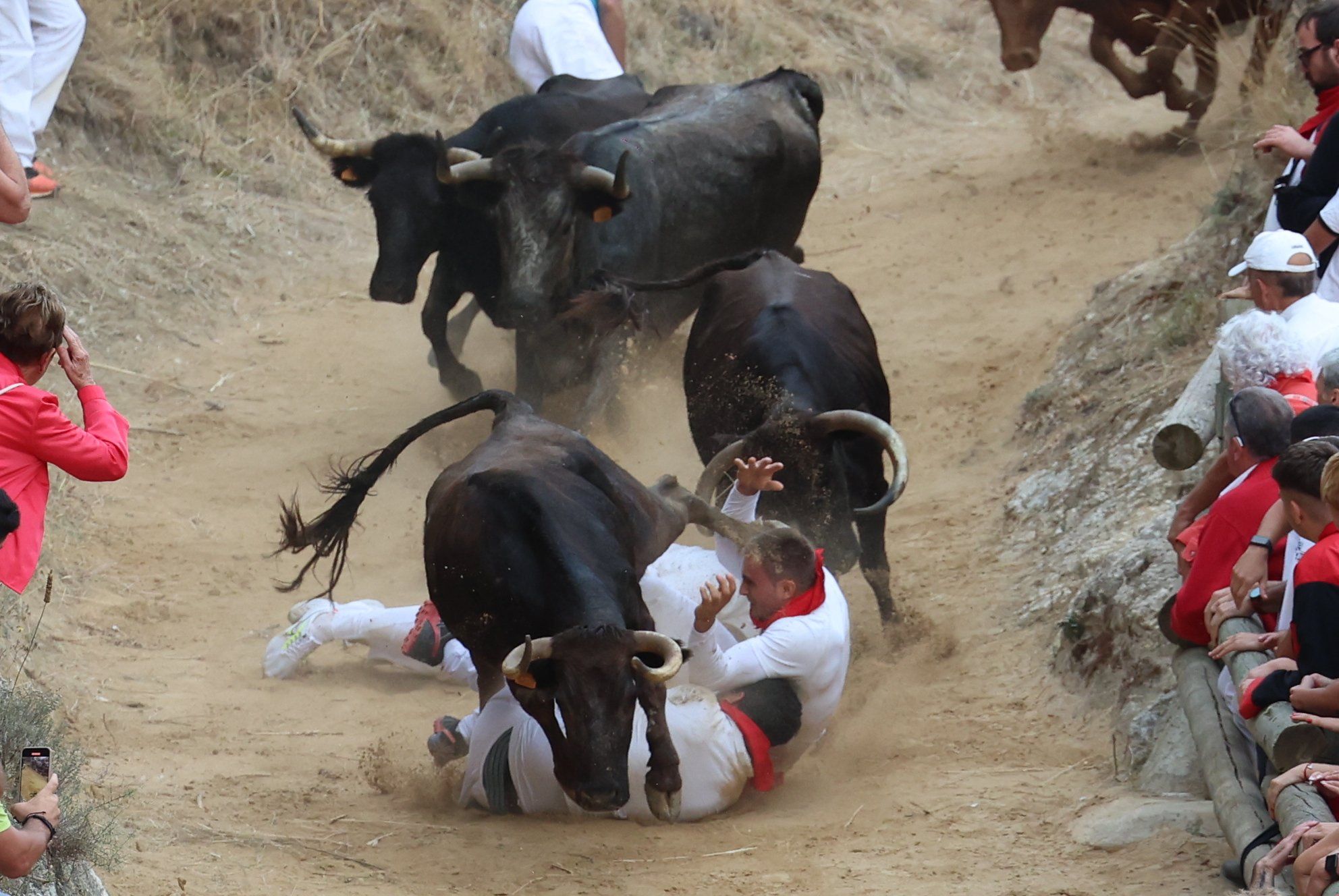 Fotos del tercer encierro del Pilón de Falces 2025