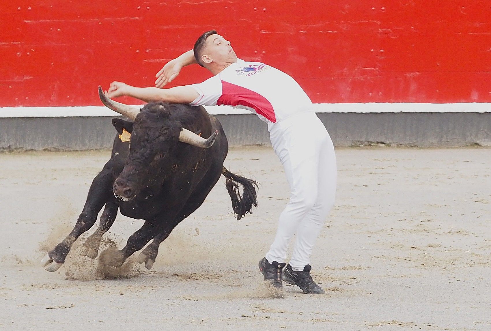 El extremeño Israel Pérez 'Ruso' se estrena con victoria en el Campeonato de Recortadores de Azpeitia