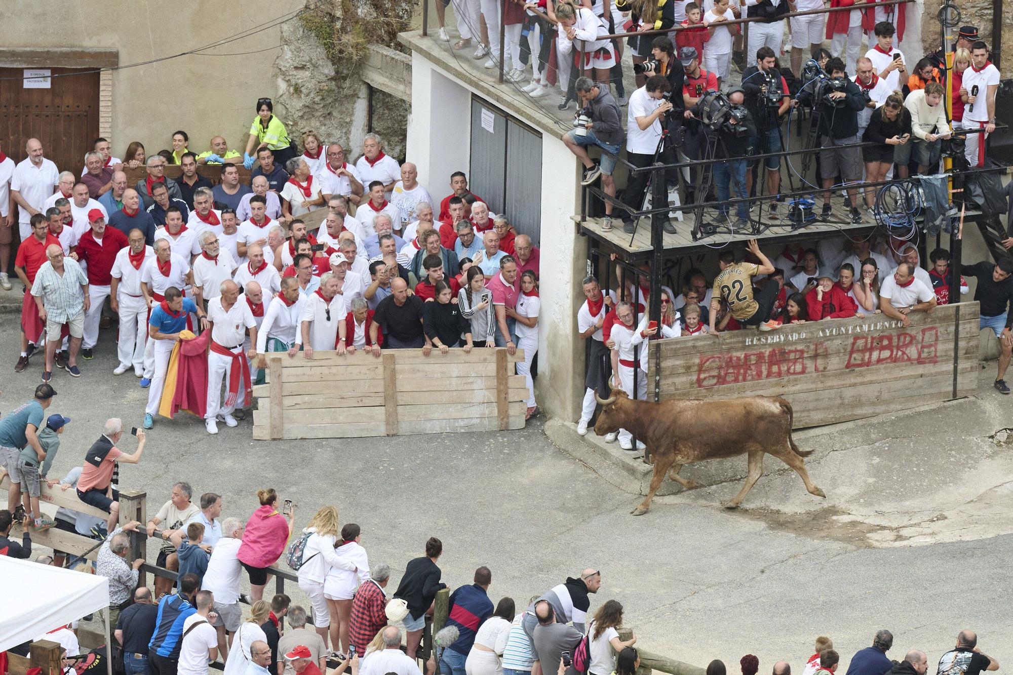 Fotos del tercer encierro del Pilón de Falces 2025