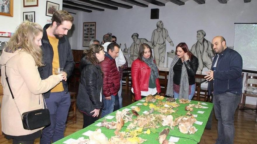 Varias personas observan las especies de setas recogidas para las Jornadas Micológicas.