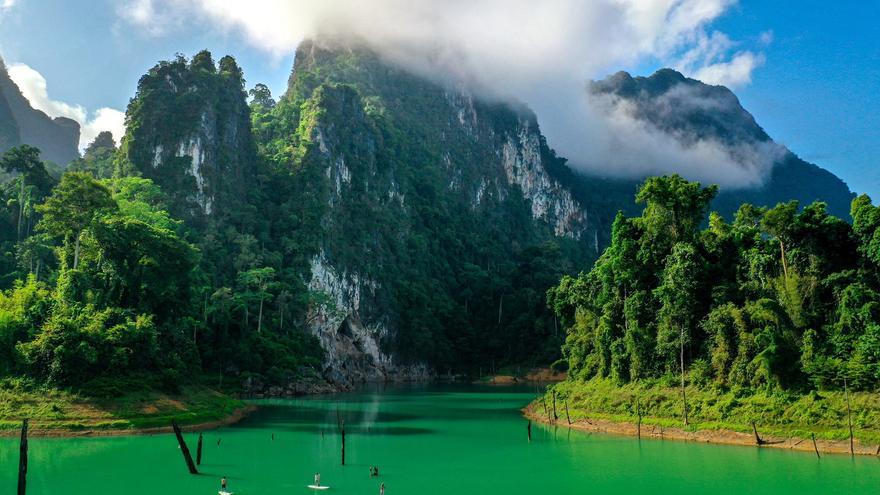Tailandia: en busca de la Rafflesia, la flor más grande del mundo