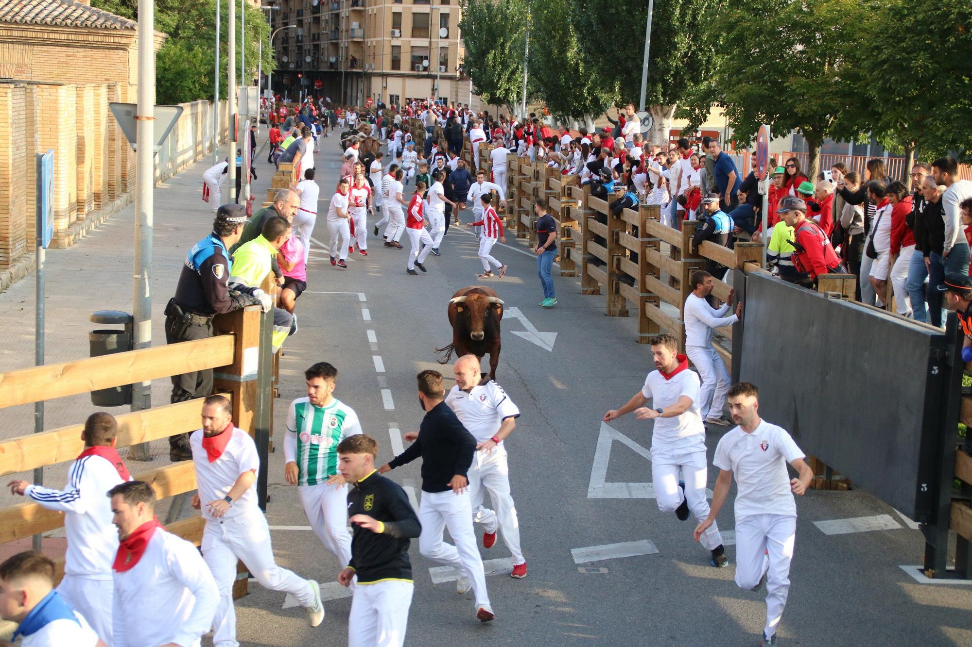 Fotos del primer encierro de las fiestas de Tudela 2025