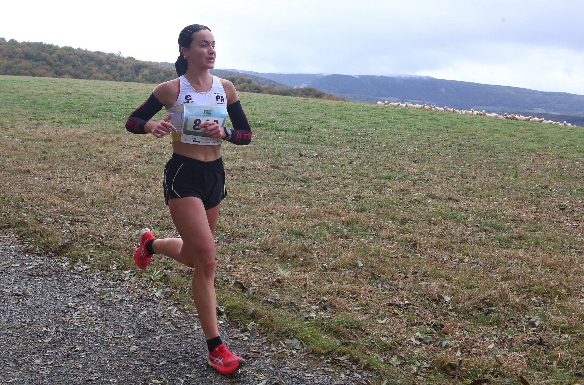Fotos de la XVIII Media Maratón Roncesvalles-Zubiri