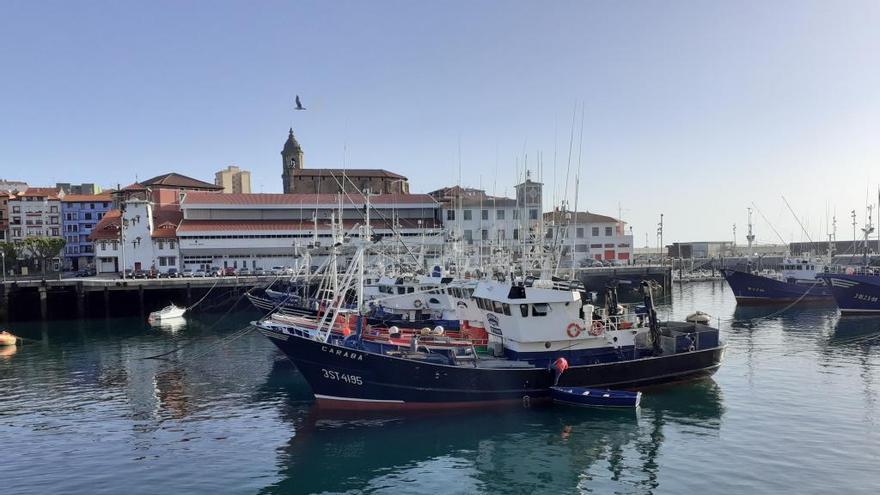 Barcos de pesca amarrados en el Puerto de Bermeo (Bizkaia)