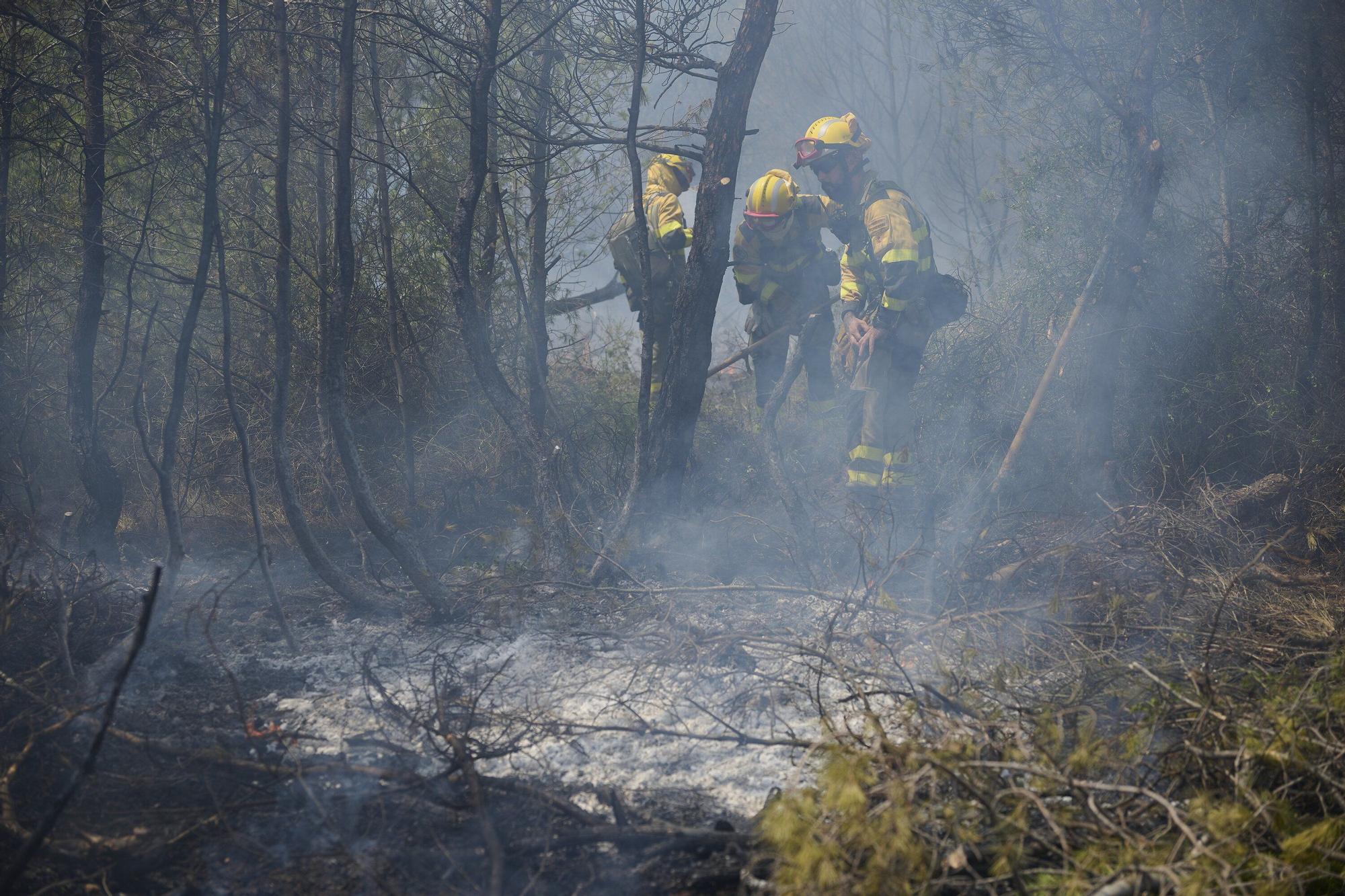 Fotos del incendio forestal cerca de Carcastillo