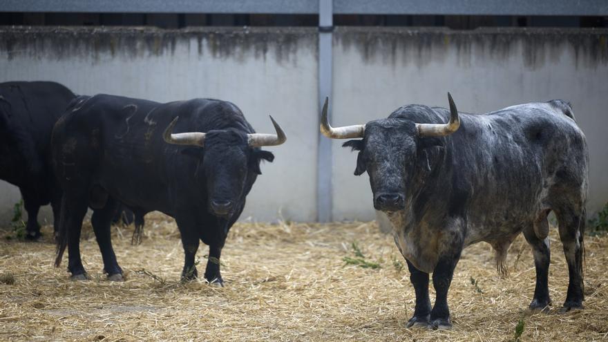 Los Corrales del Gas abren sus puertas