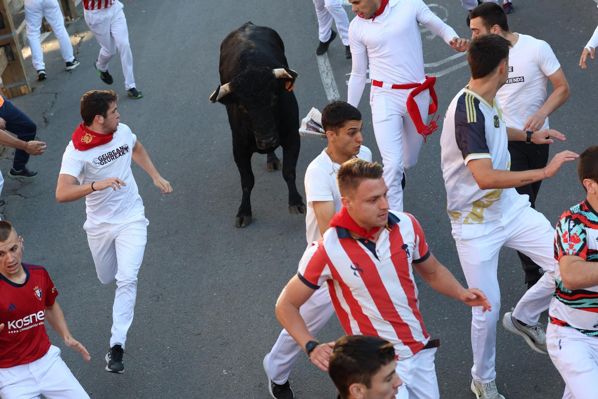 Fotos del quinto encierro de las fiestas de Tudela 2025