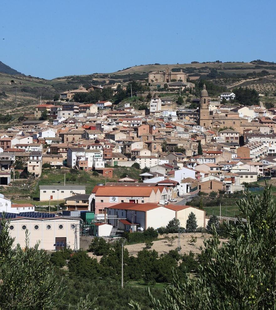 Planta de biometanización en Arróniz