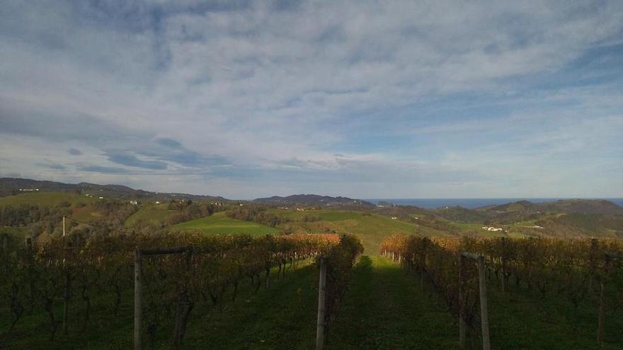 Arguiñano presenta su nuevo libro, con 560 recetas para disfrutar en familia