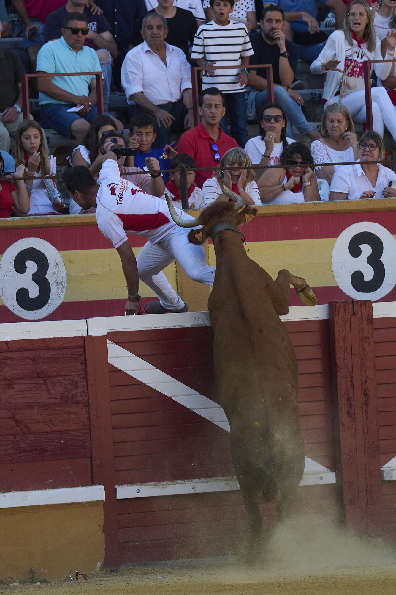 Concurso de recortadores con anillas