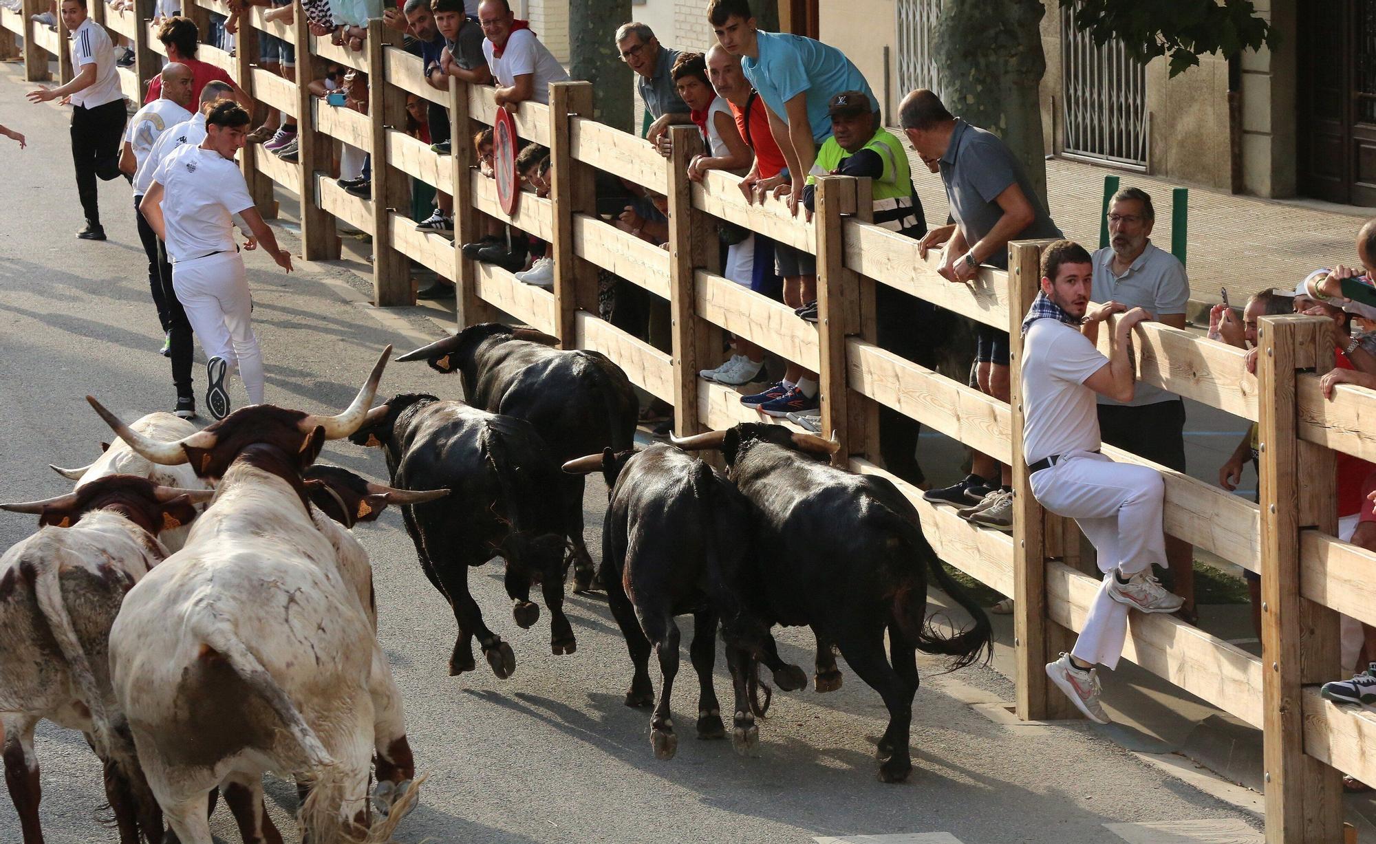 Fotos del cuarto encierro de fiestas de Tafalla 2025