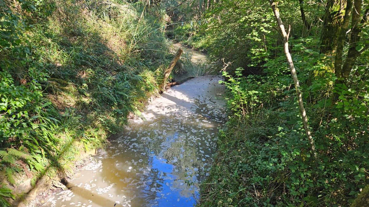 Vertido detectado en el río Atxuri en Mungia