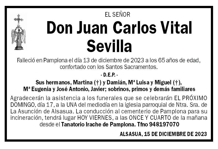 Juan Carlos Vital Sevilla