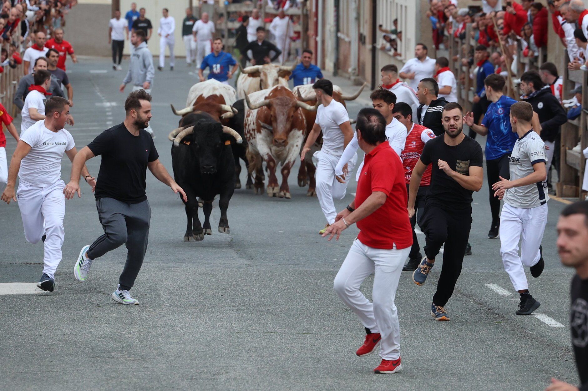 Fotos del primer encierro de fiestas de Sangüesa