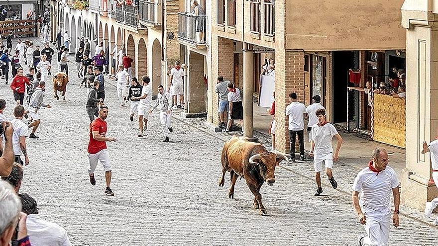 Demasiados huecos en las carreras de los novillos de Macua en Estella
