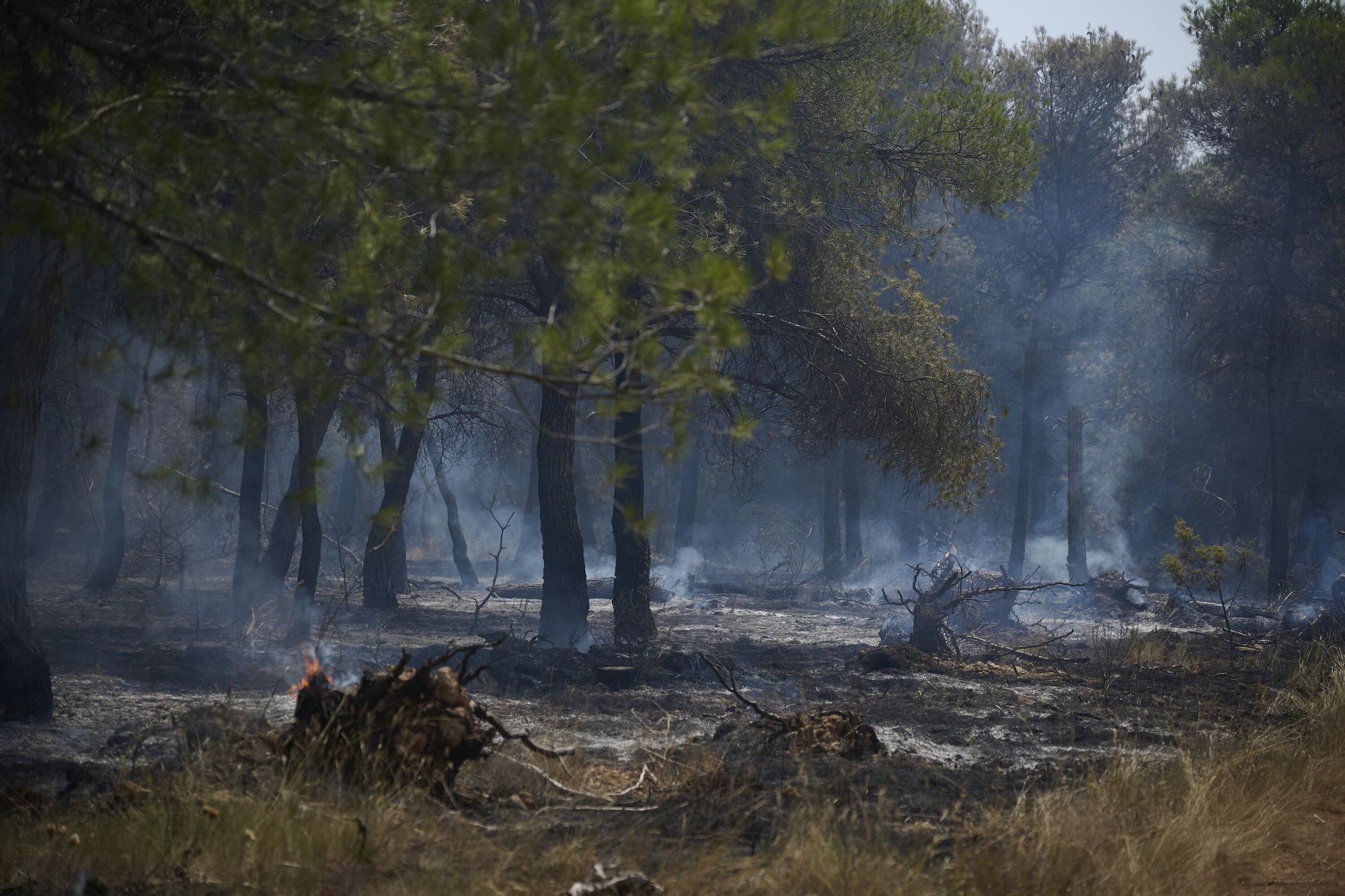 Fotos del incendio forestal cerca de Carcastillo