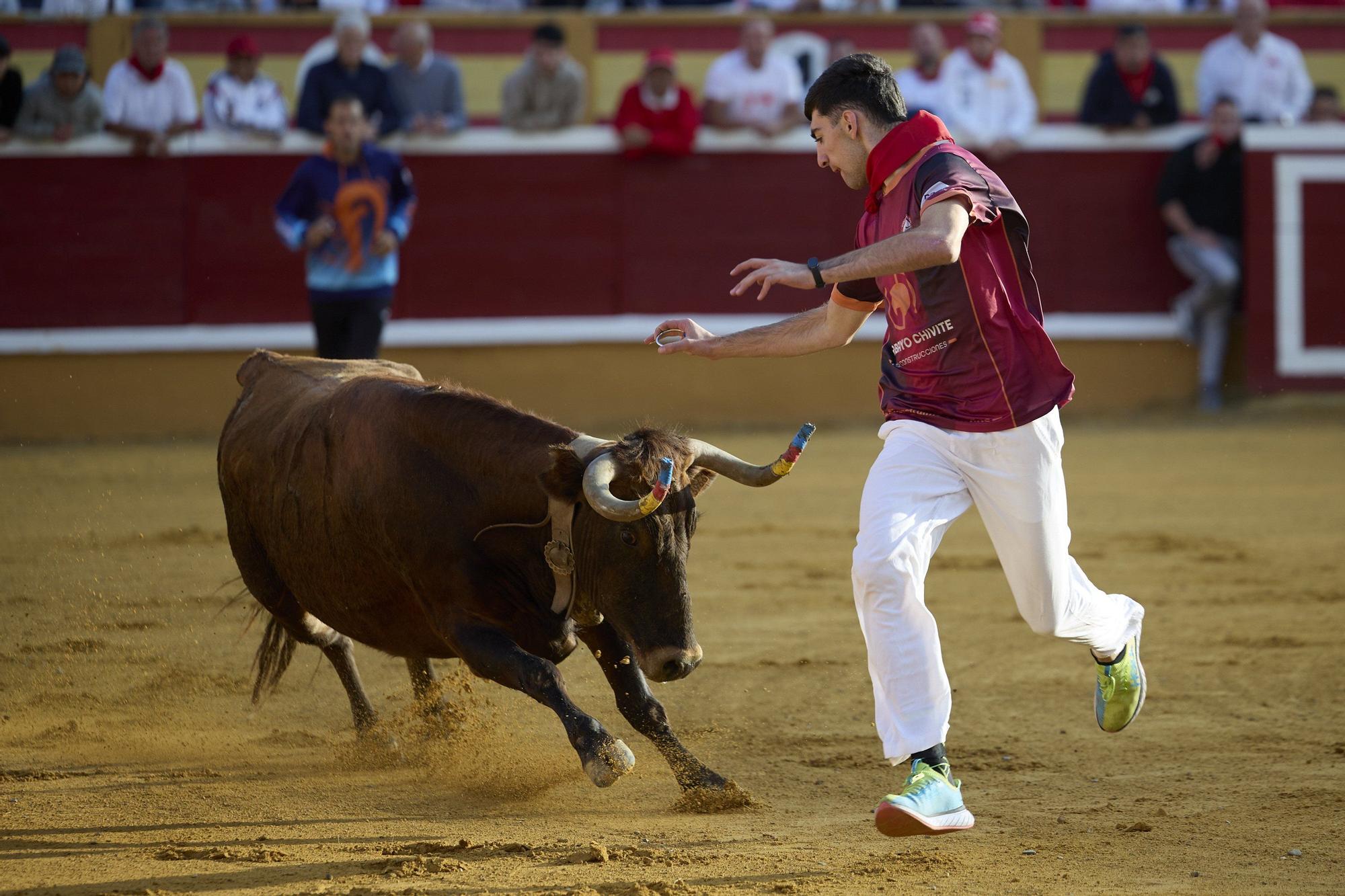 Suelta de vaquillas en las fiestas de Tudela (viernes 25 de julio de 2025)