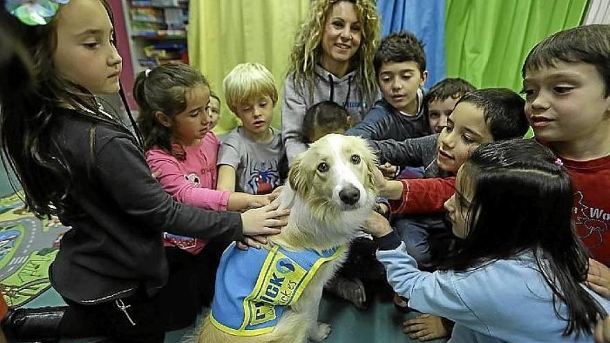 Ladridos que educan