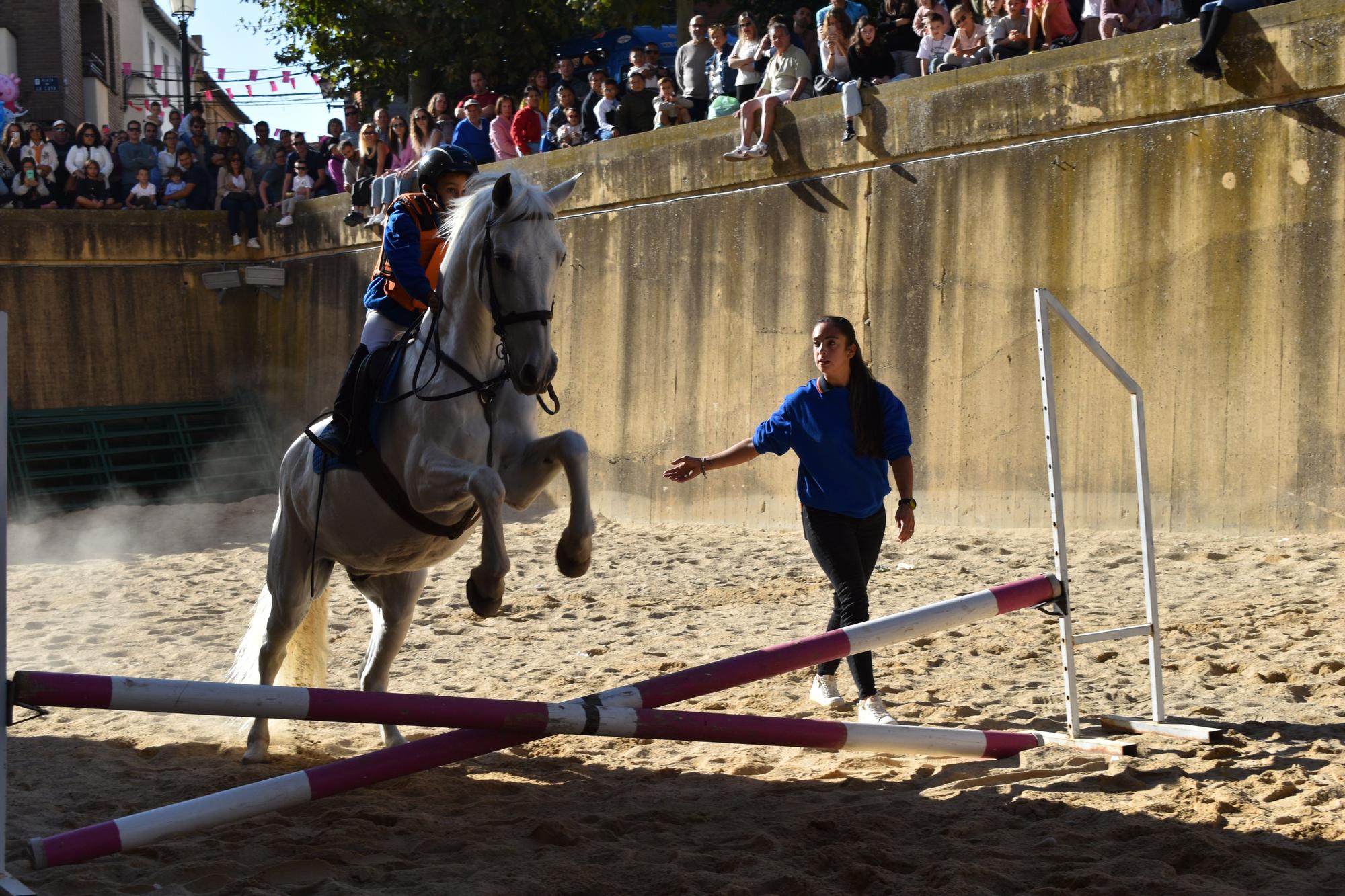 Fotos de las Ferias de Marcilla 2025