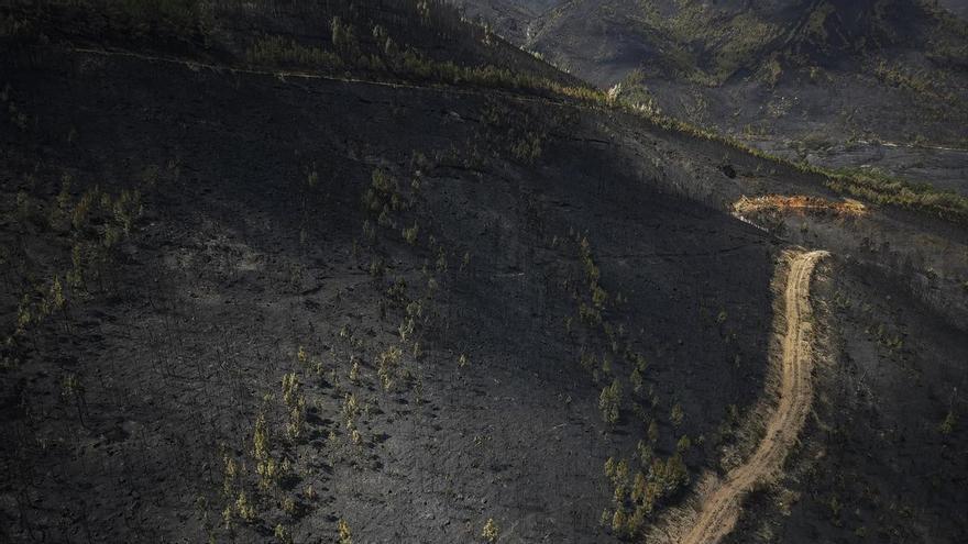 Estabilizado el incendio de Larouco (Ourense), el peor de la historia de Galicia