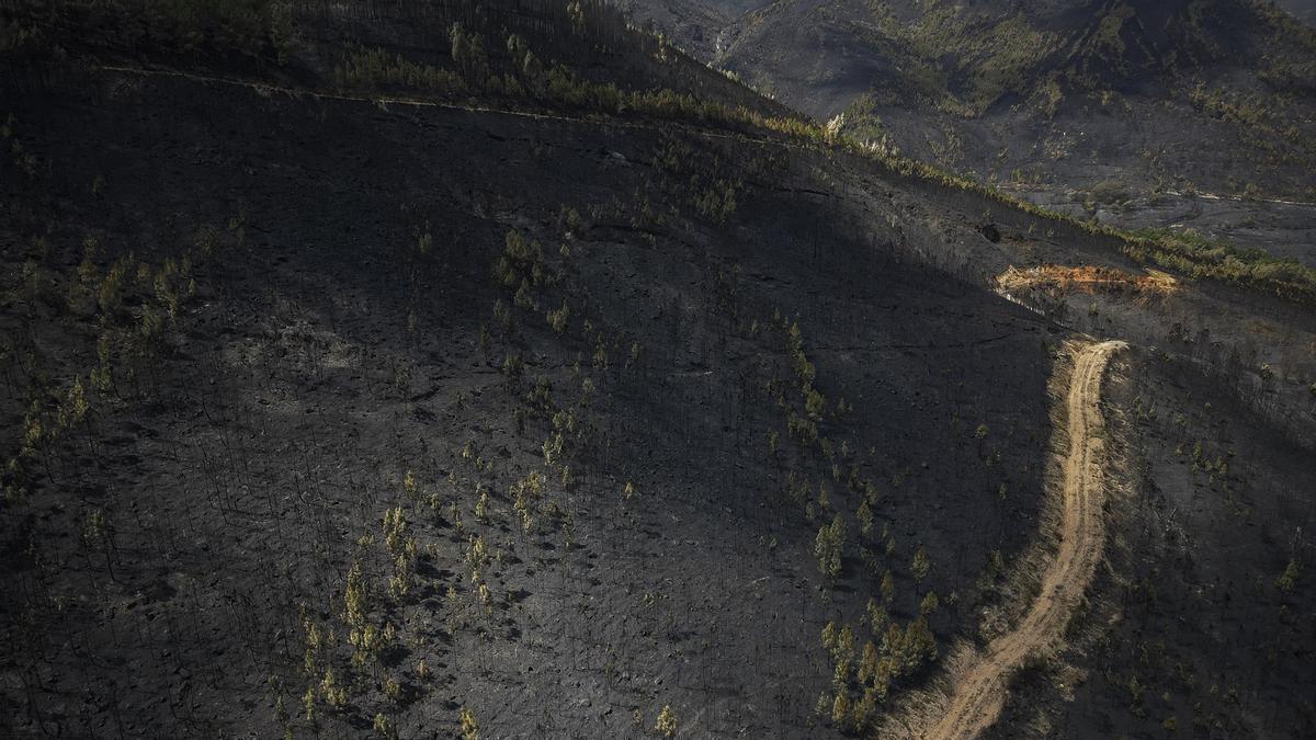 Tierra quemada en Laza (Ourense) a consecuencia del incendio de Larouco, el peor de la historia de Galicia.