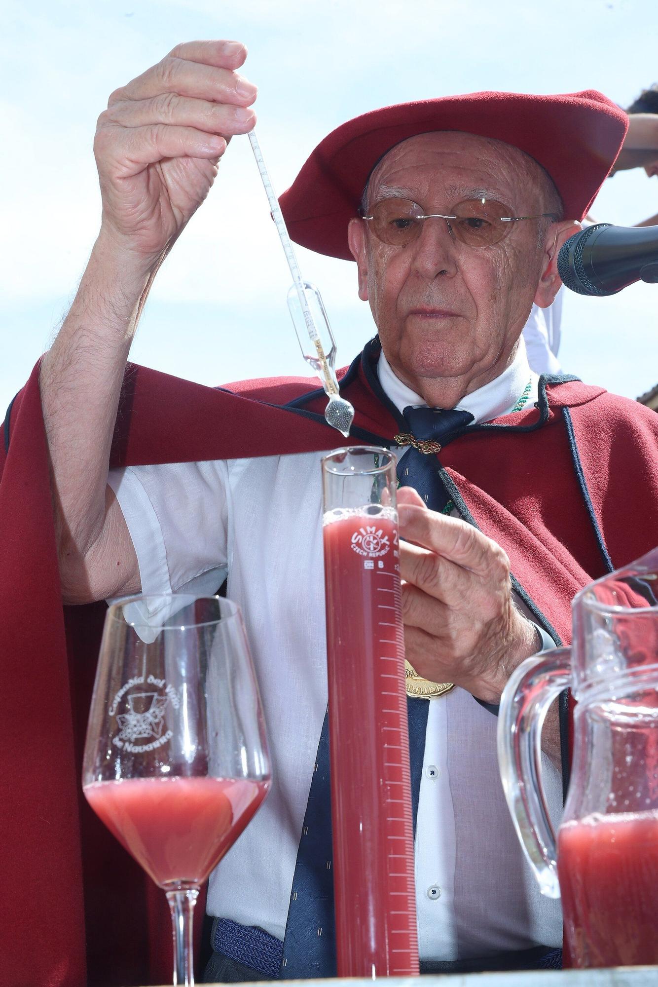 Fotos de la Fiesta de la Vendimia 2025 en Olite
