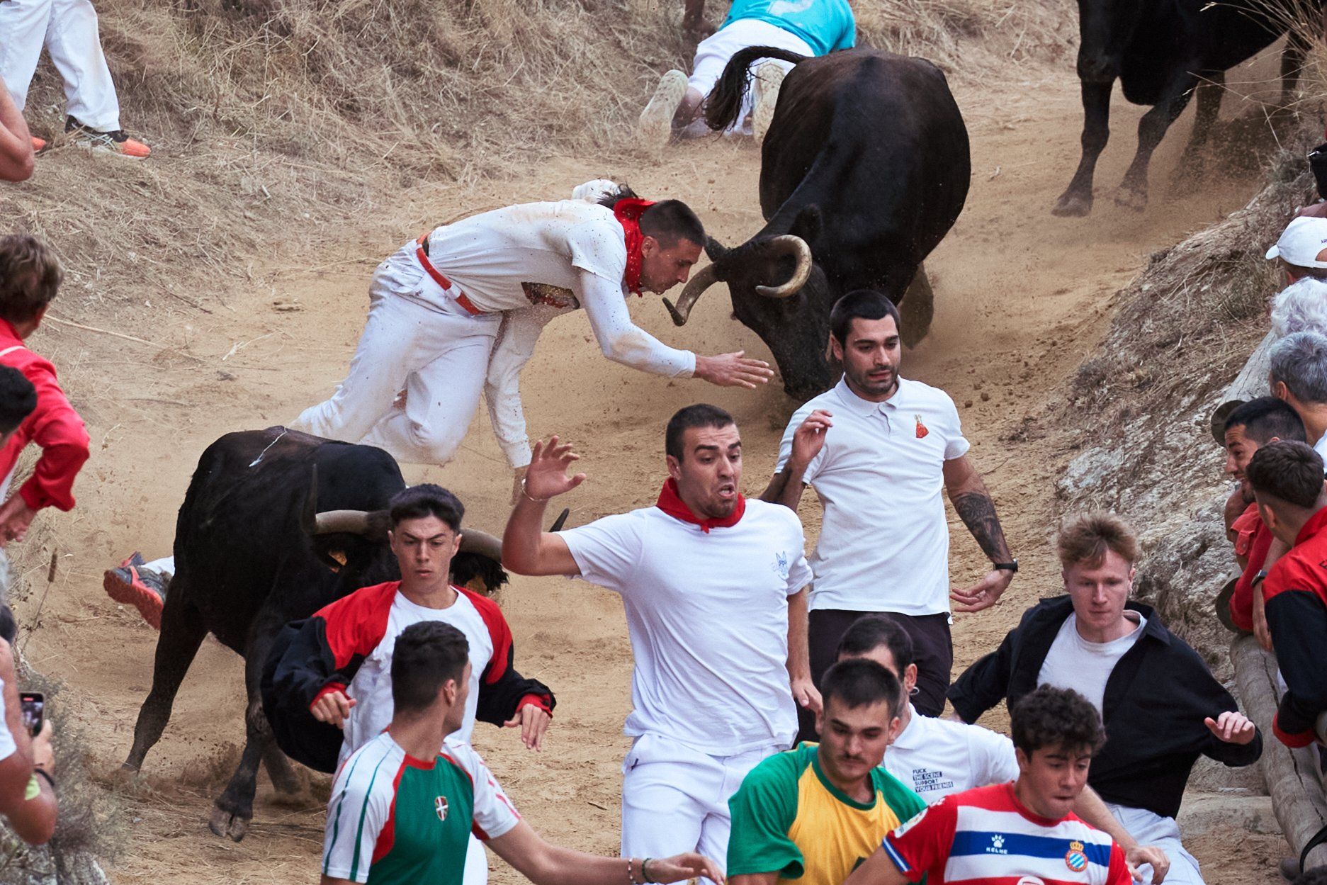 Fotos del tercer encierro del Pilón de Falces 2025
