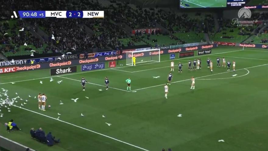 Una invasión de gaviotas provoca el caos en el tiempo añadido de un partido de fútbol