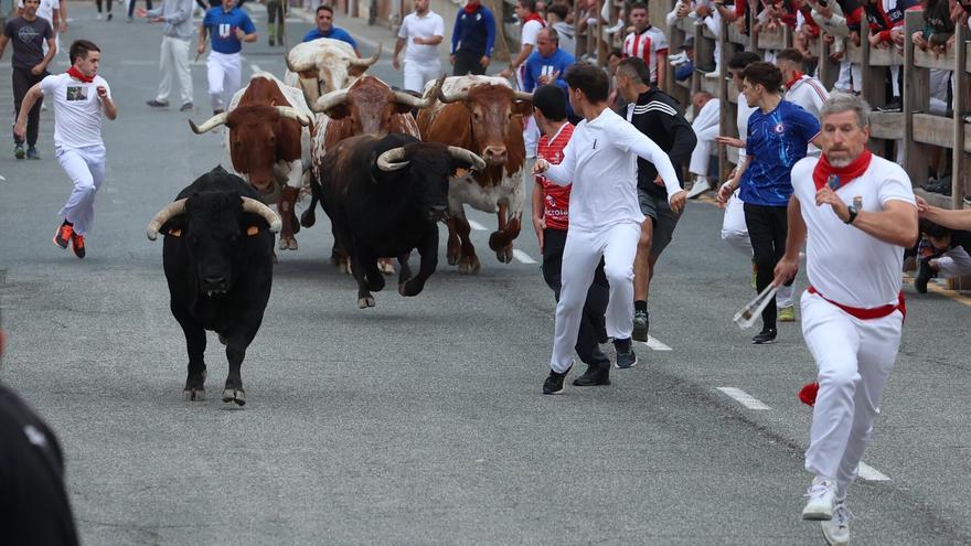 Fotos del primer encierro de fiestas de Sangüesa