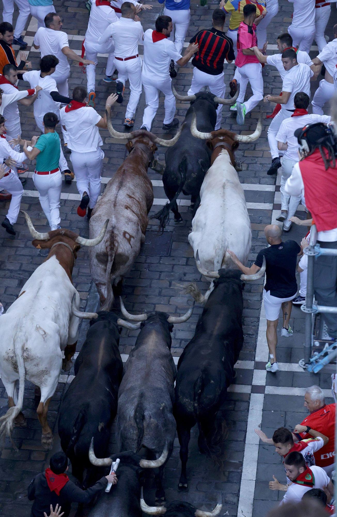 Fotos del octavo encierro de San Fermín con toros de Miura