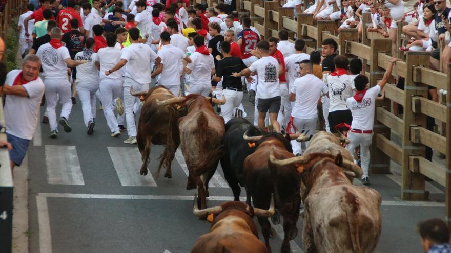 Fotos del quinto encierro de fiestas de Tudela