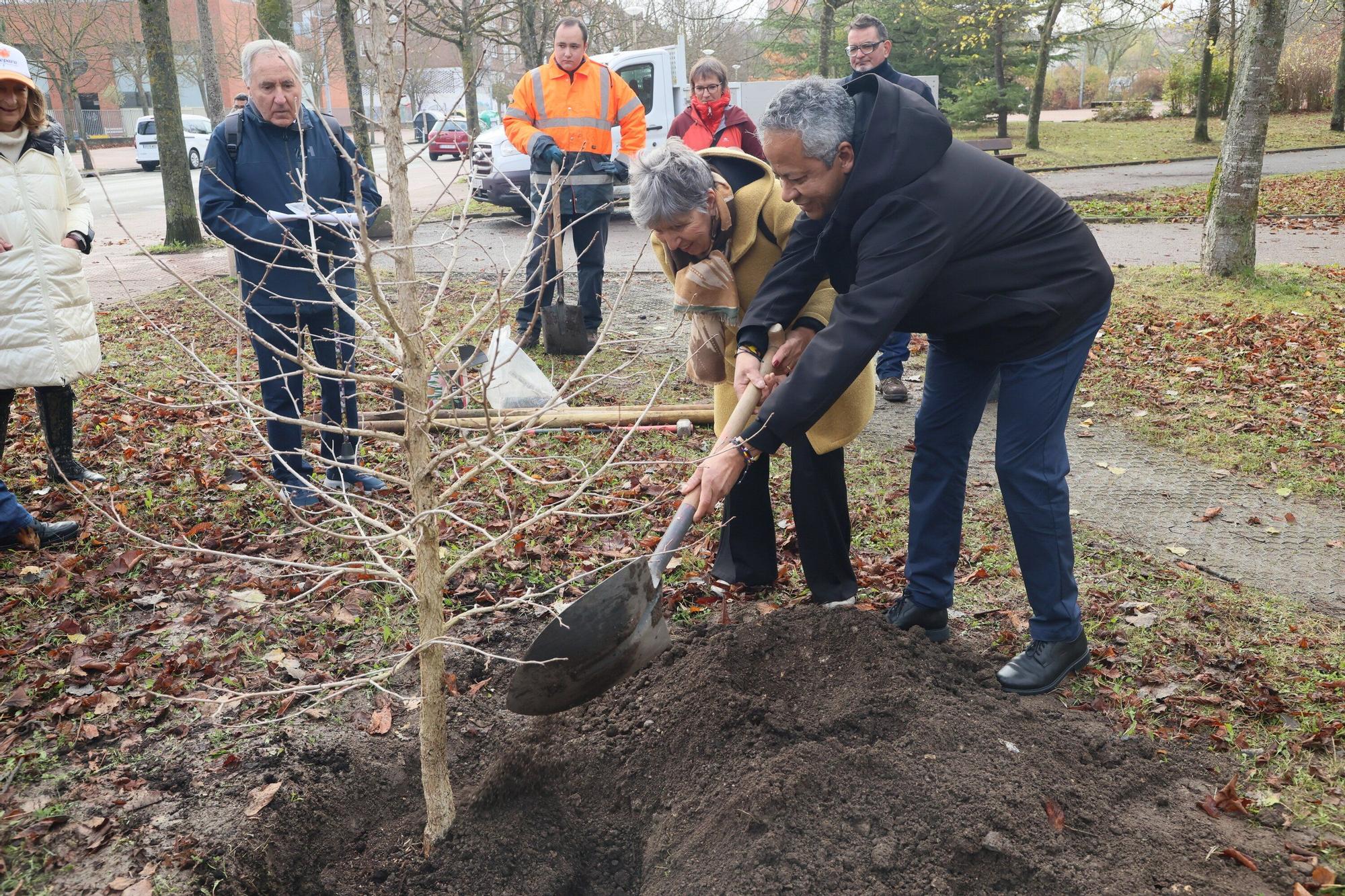 En imágenes: Un árbol para 25 años de lucha contra el párkinson en Vitoria