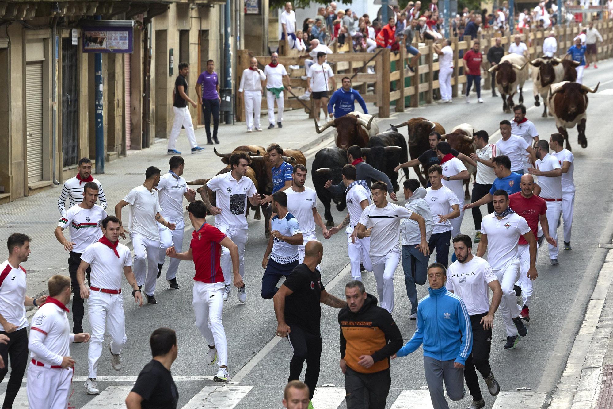 Fotos del sexto encierro de las fiestas de Tafalla 2025