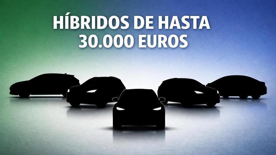 ¿Cuáles son los mejores híbridos que puedes comprar por hasta 30.000 euros?