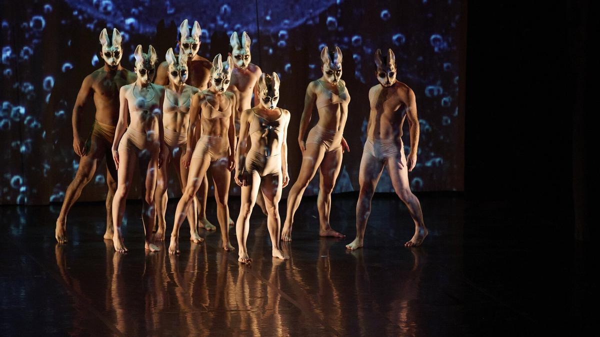 &#039;Momix&#039;, de Cesc Gelabert, en 2024 en Baluarte.