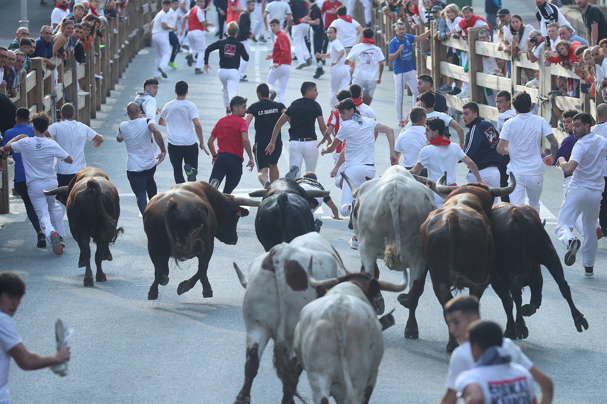 Fotos del quinto encierro de las fiestas de Tafalla 2025