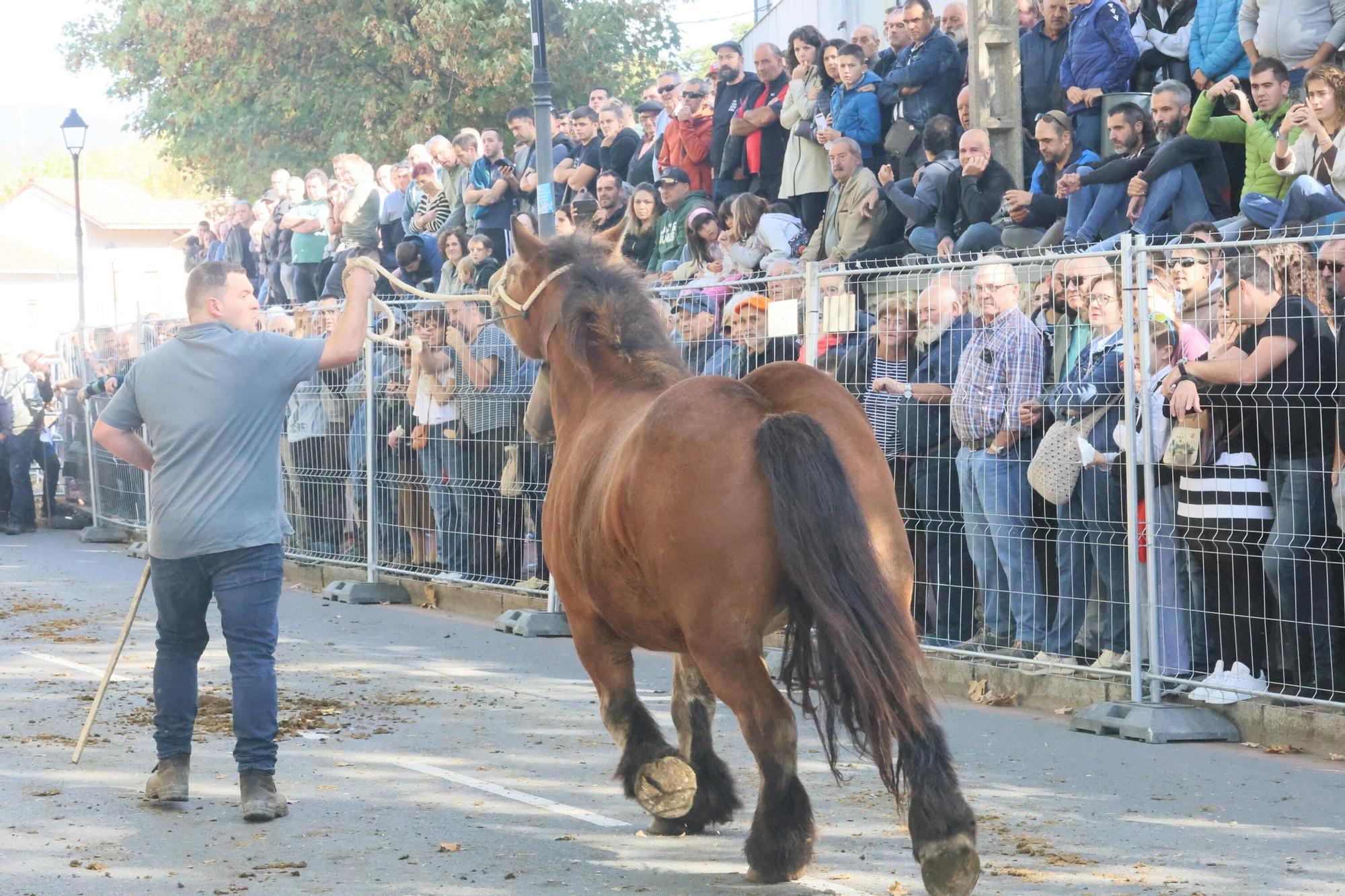 En imágenes: Miles de personas disfrutan de la 630 edición de la feria de Agurain