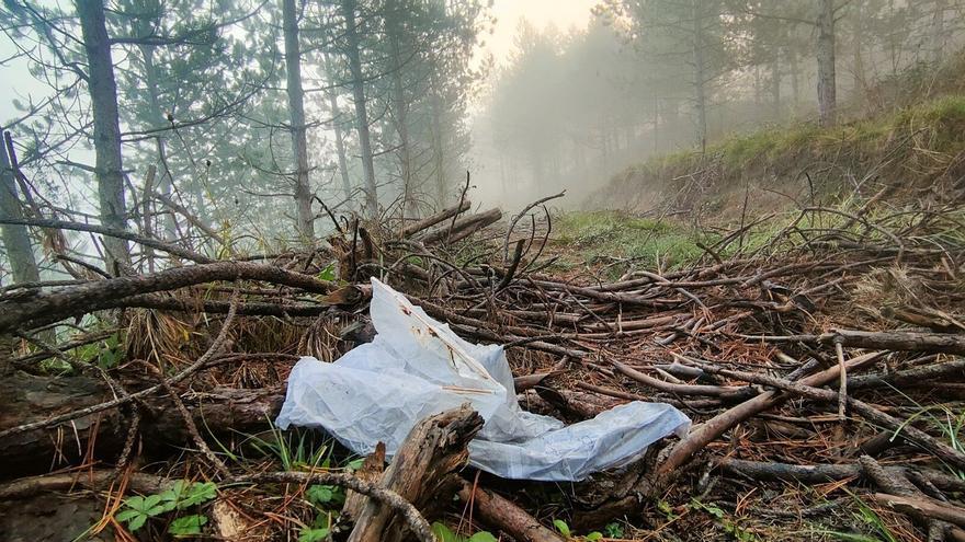 Álava limpia sus bosques de basuraleza
