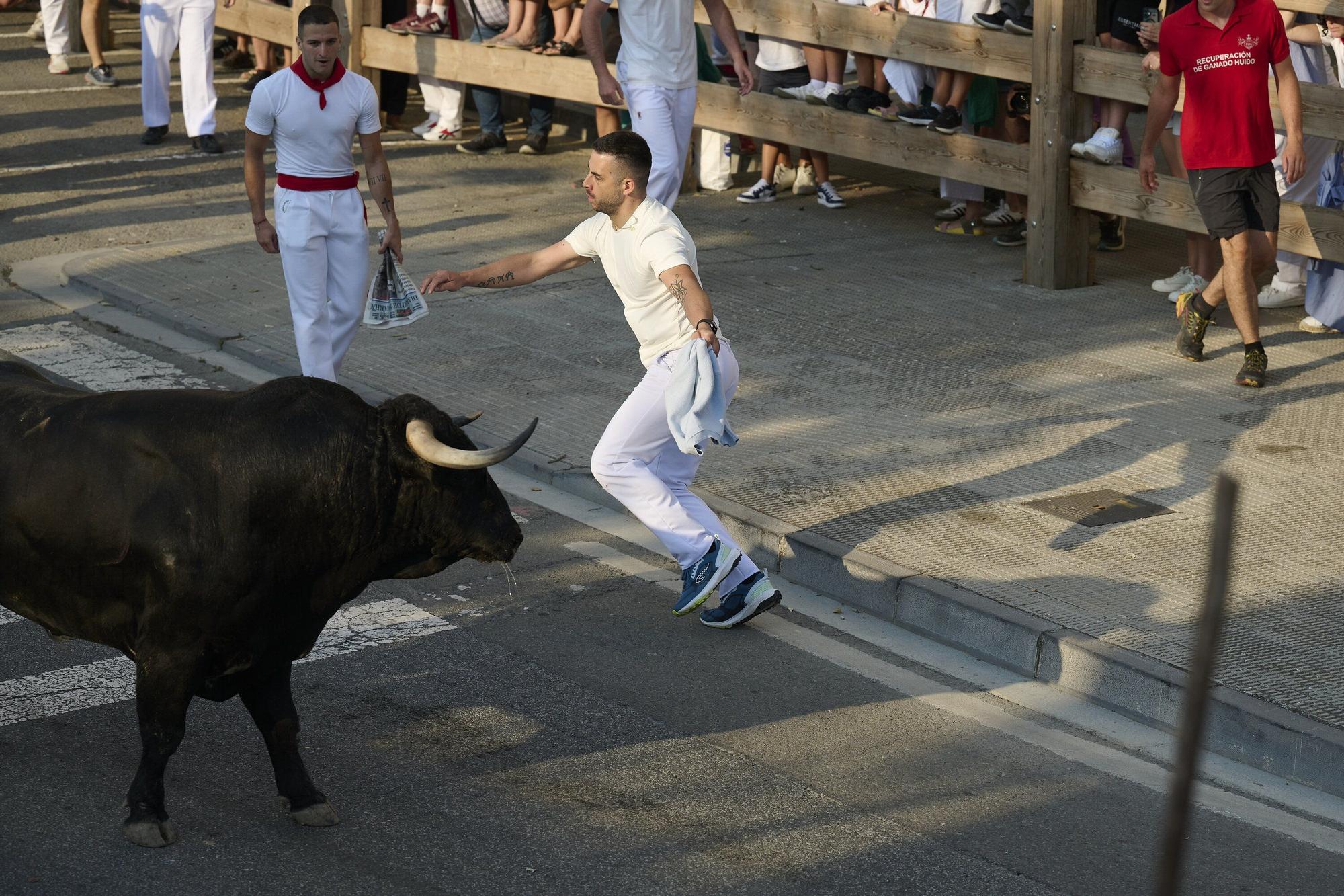 Fotos del primer encierro de fiestas de Tafalla