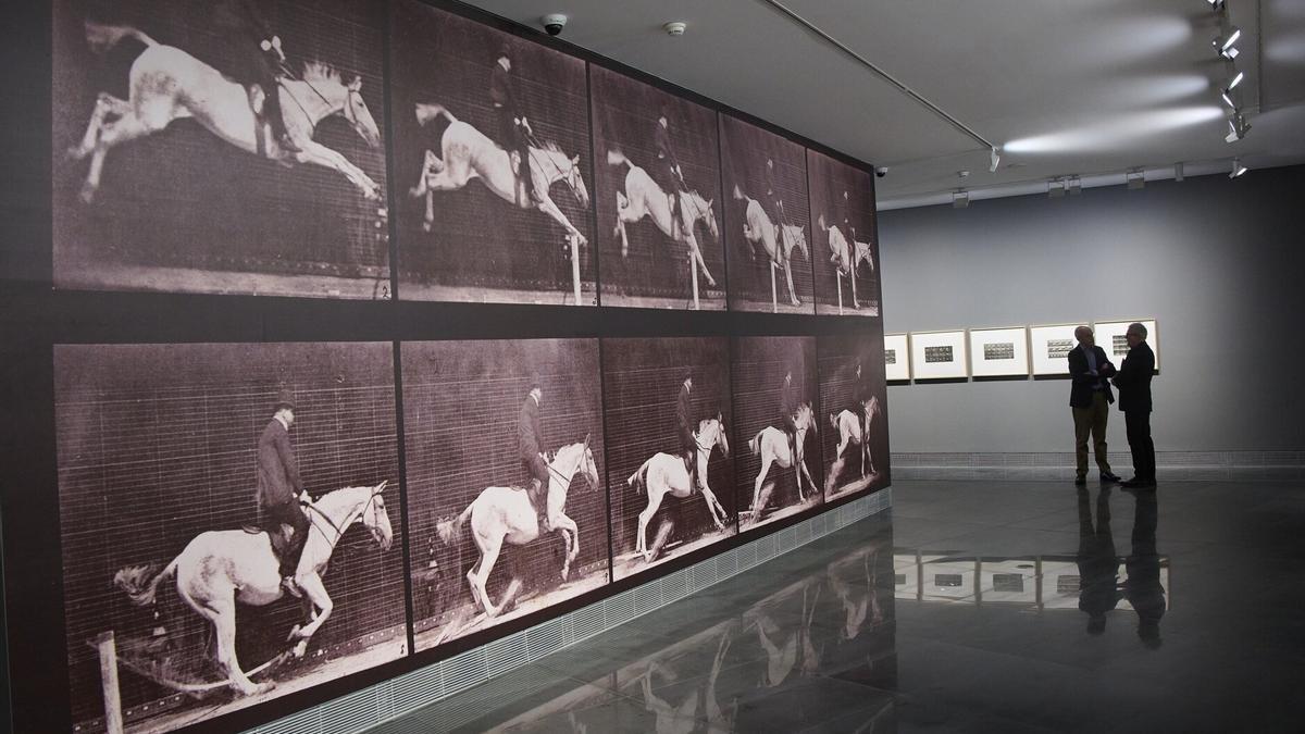 Imagen de la exposición nº 60 del MUN, con fotografías del precursor de la imagen cinematográfica, Eadweard Muybridge, presentada este 2025 en la Sala Torre del museo.
