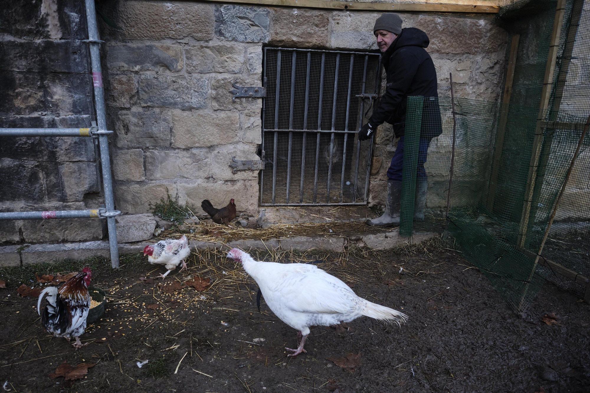 Las medidas contra la gripe aviar en la Taconera de Pamplona