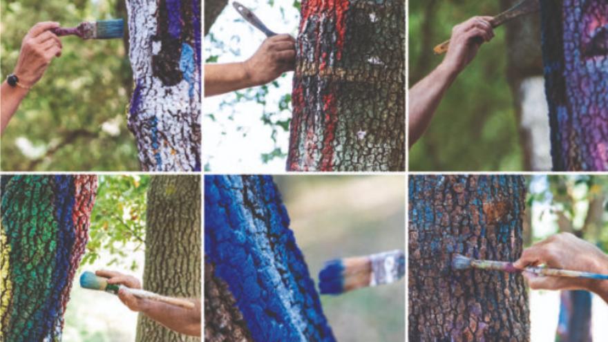 La Robleda de los Sueños celebra su 5º Aniversario con una jornada familiar para todas las edades