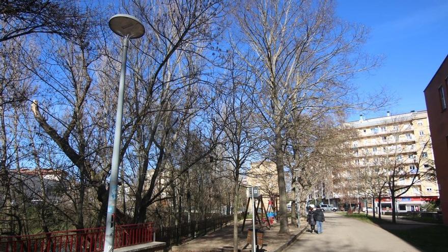 Nuevas luces en Los Llanos de Estella